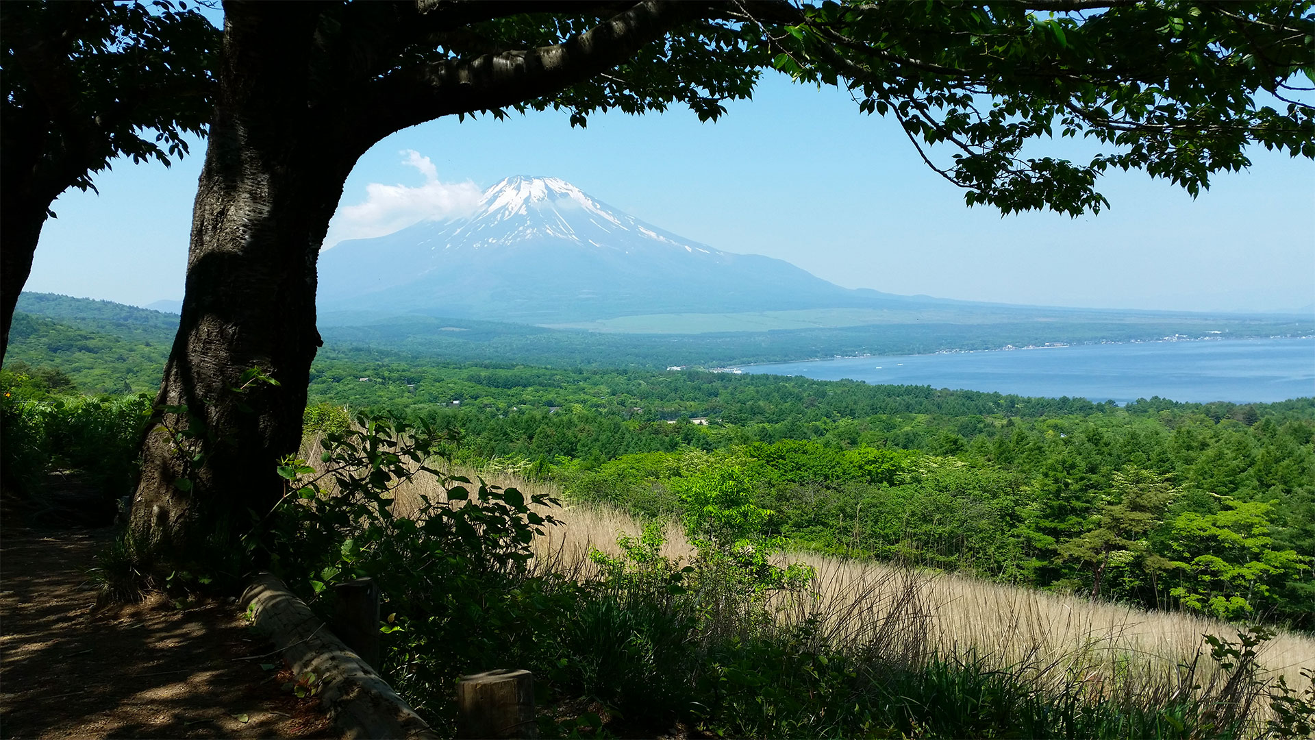 4---Monte-Fuji